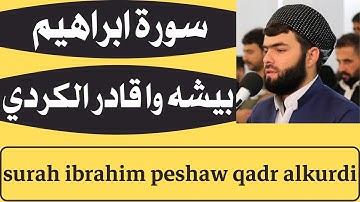 اجمل تلاوة سورة ابراهيم بيشه وا قادر الكردي peshawa qadr al kurdi ibrahim