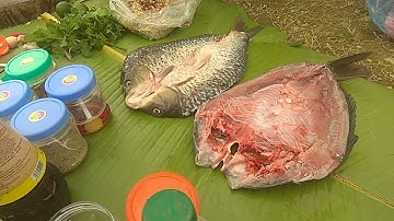 CÁ Nuớng(Pa Pỉnh Tôp) trải nhiệm nướng cá tại Cốc Ly