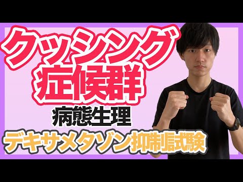 【クッシング症候群】図で理解できるから暗記減！病態生理からデキサメタゾン抑制試験などを徹底解説！