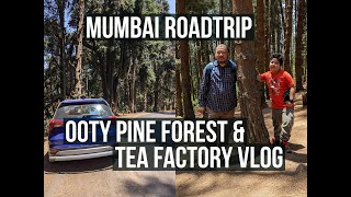 Ooty Tea Factory Pine Forest Mumbai To Ooty Road Trip Vlog