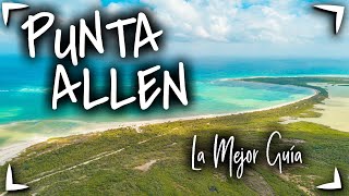 PUNTA ALLEN Sian Kaan  Guia Completa 2 días ► Tour LANCHA Tour KAYAK ✅Hotel Cielo y Selva QUE HACER