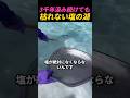 天空の鏡✨無限に湧き出る塩の湖が神秘的すぎる