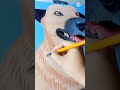 My dog pet portrait  acrylic painting