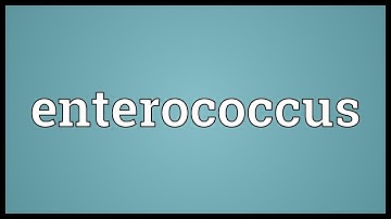 Enterococcus Meaning