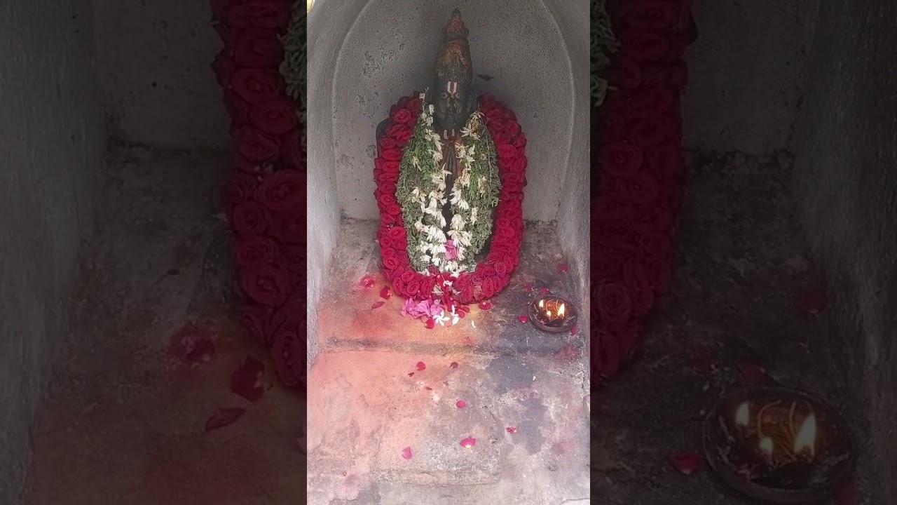 Sri Venkateswara Tempul 