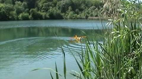 3 in 1 Twinstar2 !!! water, land and hand launch