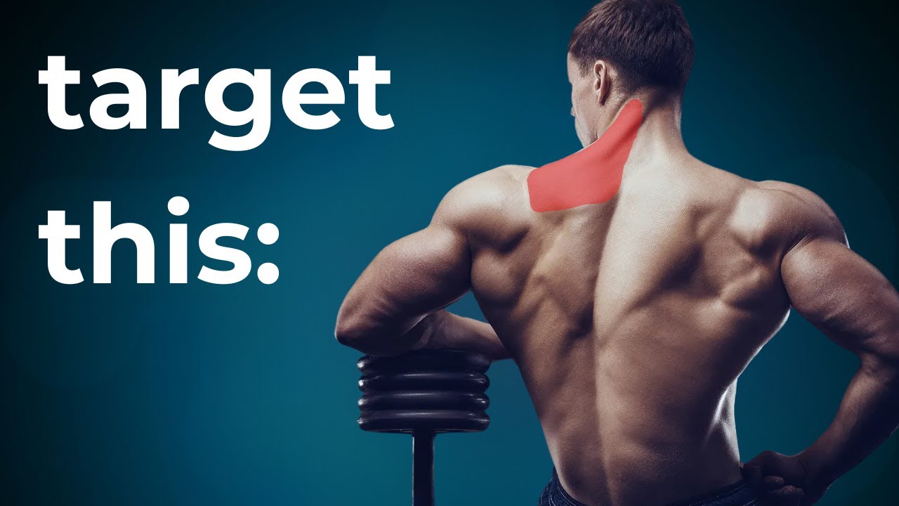 How To Properly Row (Upper Back) | Learn Biomechanics