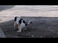 Однополая ЛЮБОВЬ!!!