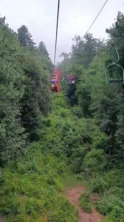 P P C #nature #travel #chairlift #tree