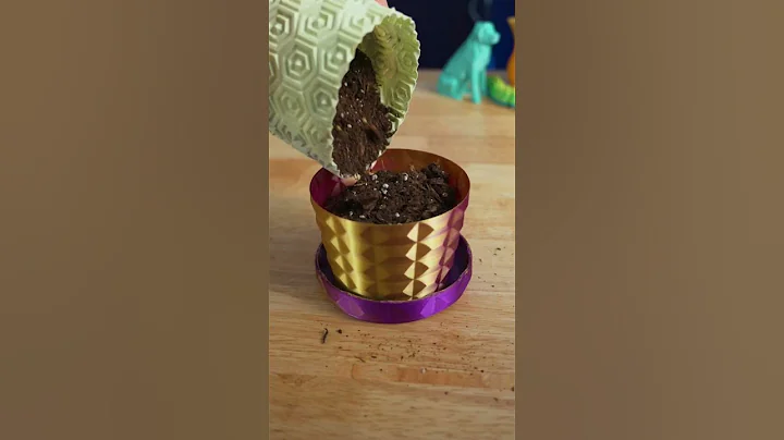3D Printed Planter Long Term Test 1