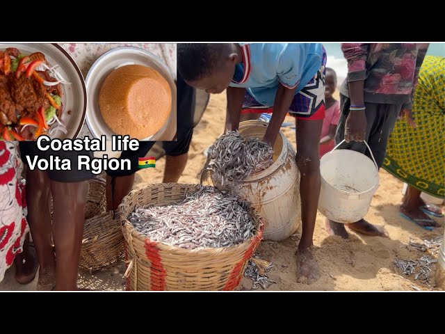 African Village life || cooking Ewe food ,GARIBA and FISHING in the costal area | Volta Region Ghana class=