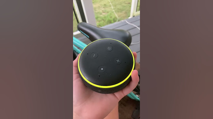 Asking Alexa questions