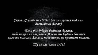 Саид Дубаха. Сура "Ясин"