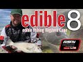 The edible 8  fishing for edibles  western cape  asfn rock  surf