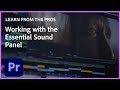 Learn from the pros  the essential sound panel with becki  chris  premiere pro tutorial  adobe