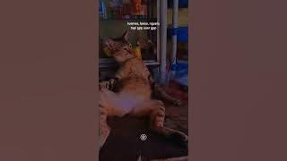 STORY WA 30 DETIK ✴️ || STORY WA TERBARU 2021 || STATUS WA 30 DETIK || STORY WA KEREN - Storyku