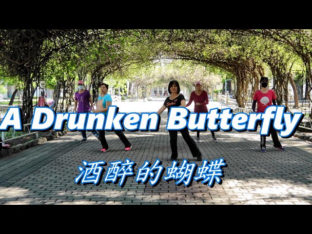 A Drunken Butterfly 酒醉的蝴蝶 - Line Dance( Beginner)(Tina Chen  u0026 Juilin Chen) class=