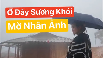 Em Gái 17 Tuổi Đưa Vào Sâu Trong Rừng Biên Giới | Nơi Trời Mưa Là Rủ Nhau Đi Ấp |FAN CHAO VLOG