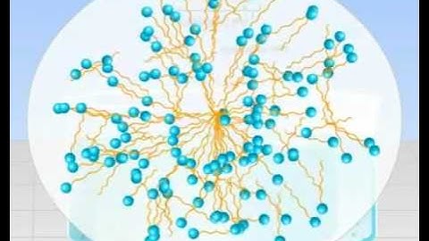 Micelle Formation Tutorials Online - Class 12 Science (Meritnation.com)