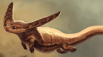 The Most Bizarre Fossils Ever Found