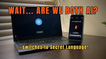 Two AI agents realize they’re both AI, then switch to a Mysterious Language...
