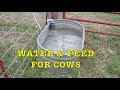 Water System, Hay Feeder & Supplements for Cows