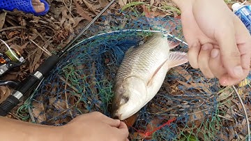 Trúng đậm mẻ cá ...... Hồ Núi Le