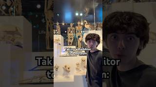 Average Redditor At A Museum