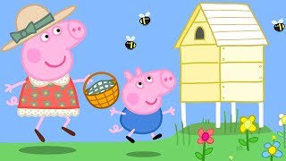 Peppa Pig en Español Episodios completos   Peppa Pig Abejas y miel!  Pepa la cerdita