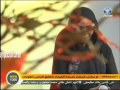 إنصاف فتحي ما رأيت في الكون إنصاف فتحي ما رأيت في الكون