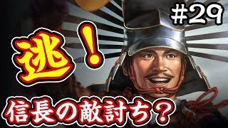 秀吉、大返しにて光秀を討つ？織田家の落日！ 姉小路編 #29【信長の野望 大志 PK】