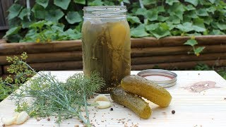 Canning Crunchy Dill Pickles (recipe and full canning walk-through)