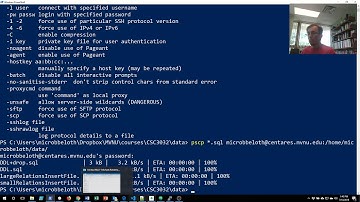 Transferring files to/from remote system with pscp