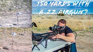 Umarex Zelos .22 Shoots FAR With ACCURACY