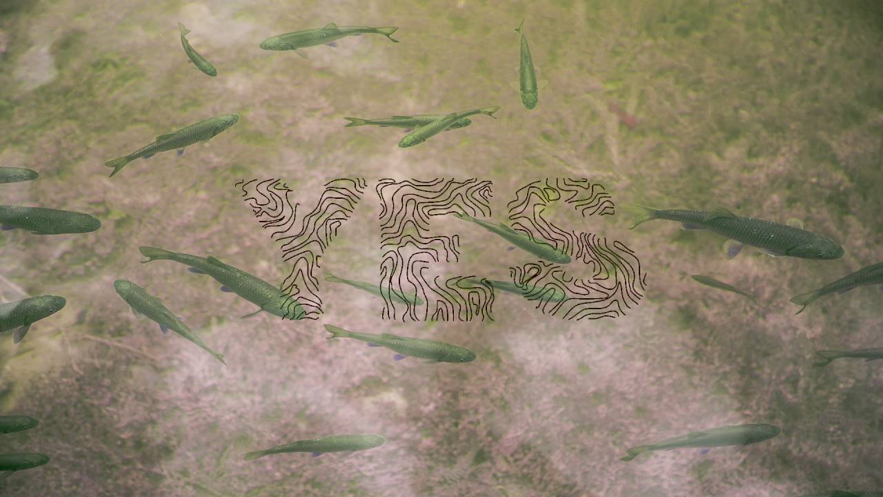 E K O, Maya Maman - Something About You (Gozzo Remix)