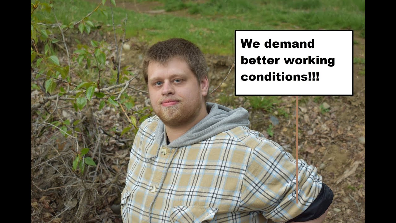 In Dubious Battle by John Steinbeck | Anatomy of a Strike