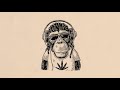 Monkey Instrumental Rap Instrumental 