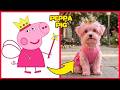 PEPPA PIG como un PERRO🐶🐷 + ¡ADIVINA LA VOZ...! 🔊😍Peppa🐷Danny🐶Suzy🐑George🦖Evie Pig😍
