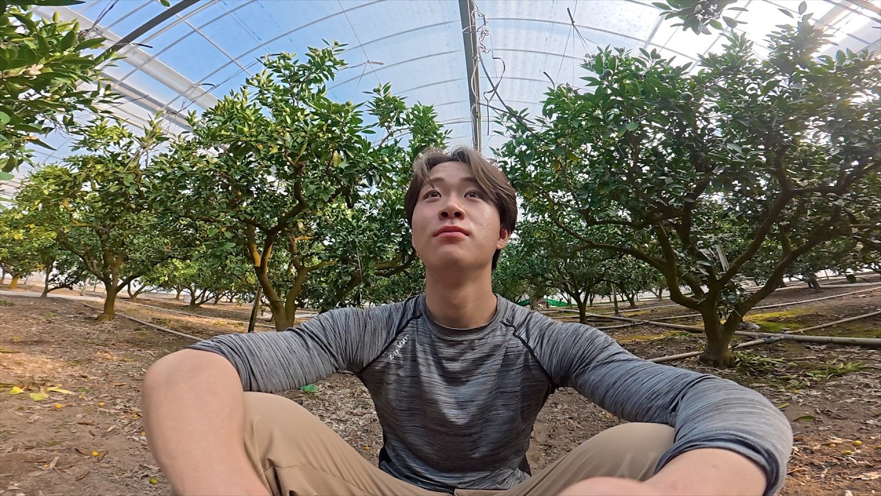 軽トラで彼女迎え行ったっていいだろ