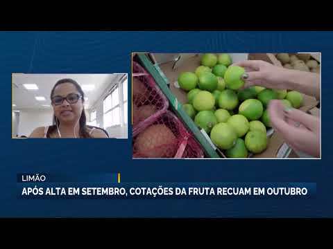 Blox Fruits - Conheça as melhores frutas em Setembro de 2023