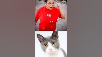 #jumpstyle #actingchallenge #highsandlows #filterchallenge #reelschallenge 🤣 #guessthesong