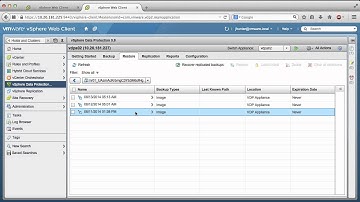 VMware vSphere Data Protection - Restoring Replicated Backup Data