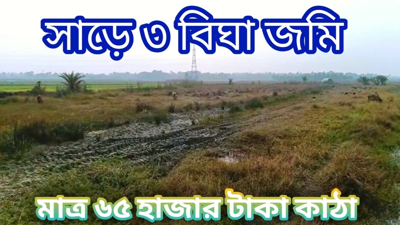 সাড়ে ৩ বিঘা জমি বিক্রি