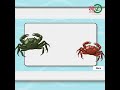 Spesies Kepiting & Kode Ekspor Kepiting Papua