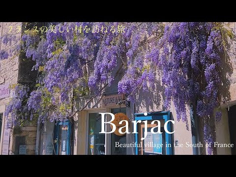 Barjac - Une promenade dans un beau petit village en Occitanie - chat mignon / glycine /