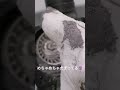 模型用塗装ブース(タミヤツインファン)お掃除中……健康被害予防、絶対大事