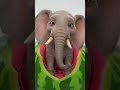 তরমুজের ভিতরে হাতি! 😱🍉 | Elephant Inside Watermelon 🐘✨ | Funny 3D Story #shortvideo #short #cartoon
