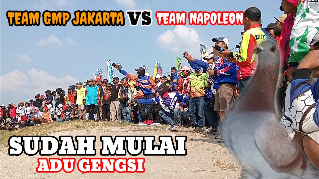 seri serian merpati balap nasional Solo Jawa Tengah 14 Jun 2024