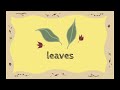 Nature - Talking Flashcards - Curiosibee