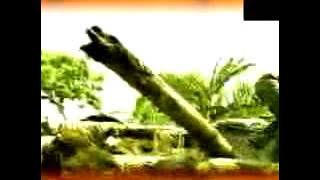DJ Lewis Grippe Aviaire Clip Officiel